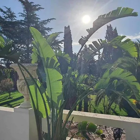 La Belle Epoque Maison Avec Piscine *